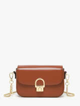 Crossbody Bag Altair Leather Etrier Brown altair EALA134X