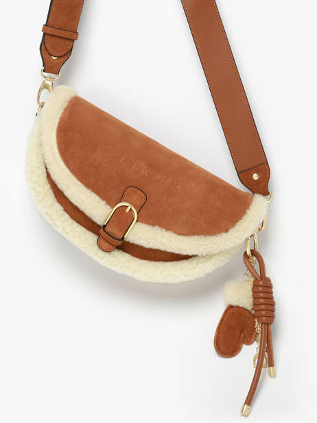Shoulder Bag Alpin Etrier Brown alpin EALP050S other view 1
