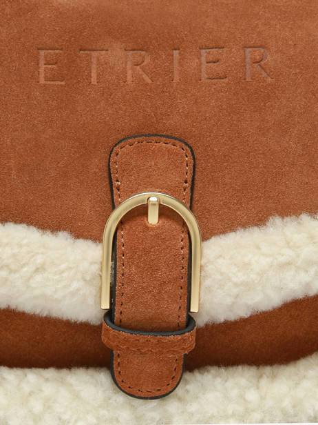 Shoulder Bag Alpin Etrier Brown alpin EALP050S other view 4